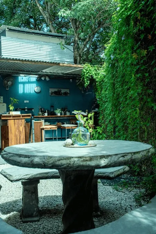 Patio al aire libre del hostel de chicas en Tamarindo, con mesa de piedra rústica y pared de enredaderas verdes.